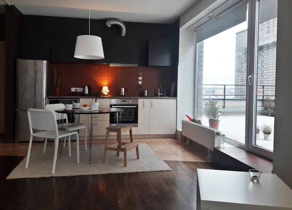 Kitchen/dining room/living room/terrace - very spacious but really cozy.