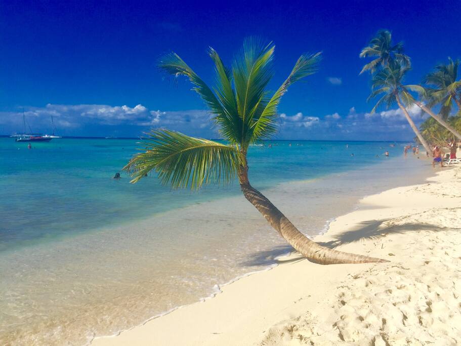 Saona Island
