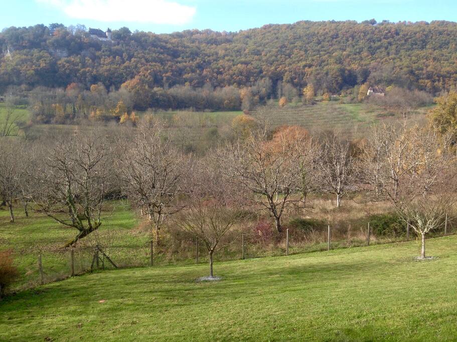 View from studio across the Valley.