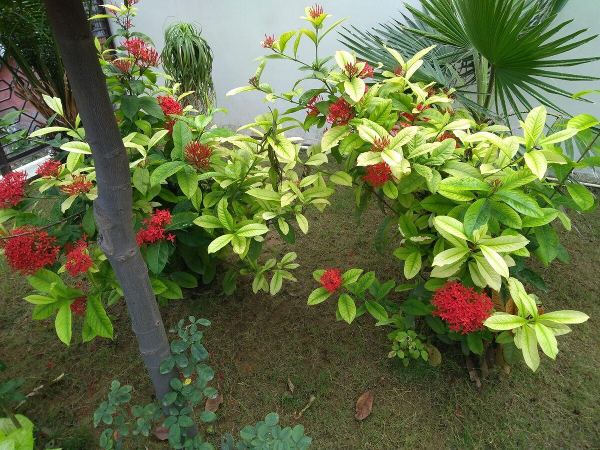 Cozy house enroute TajmahalMathura, Near ExpoMart Houses for Rent in