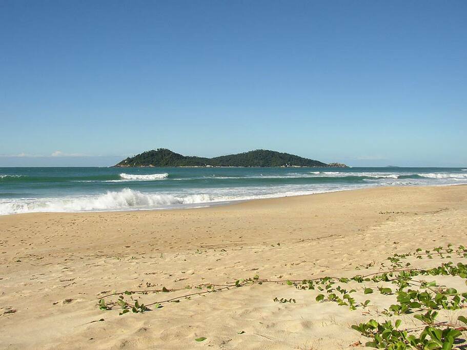 Ilha do Campeche.