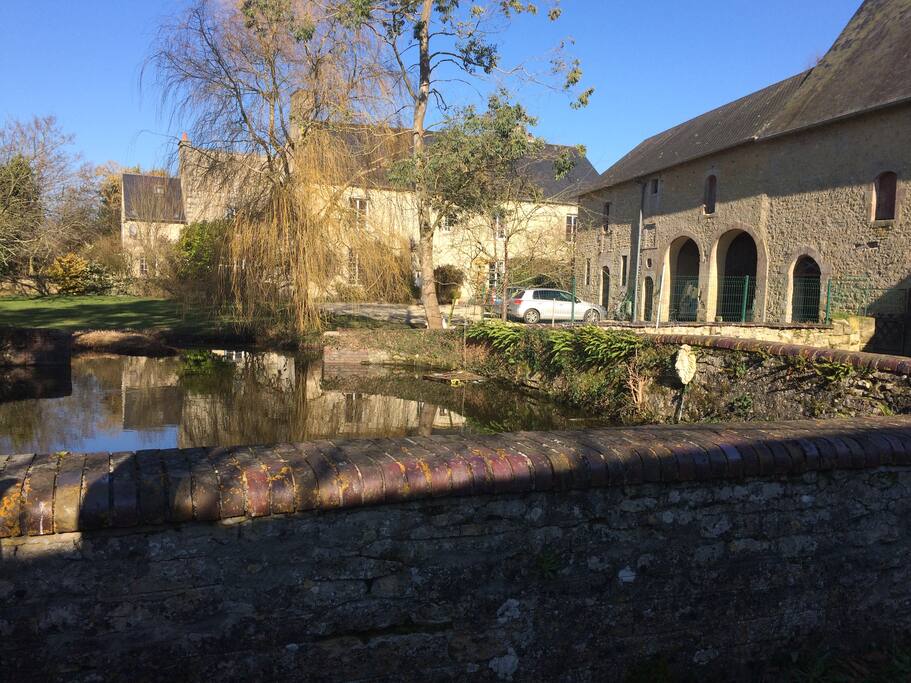 The ancient horse pond, now stocked with Carp!