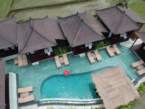North Ubud 12BR-unit with rice field view and pool