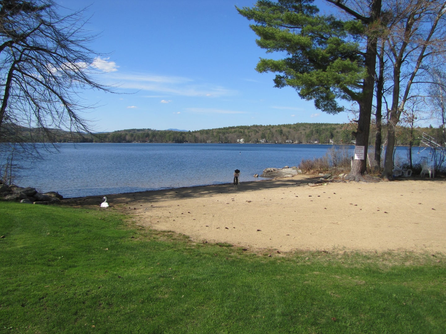 Pollard Shores photo 3