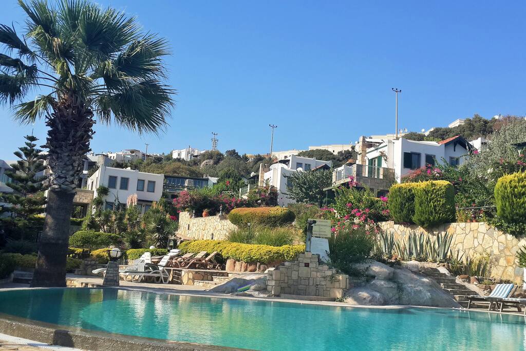pool area