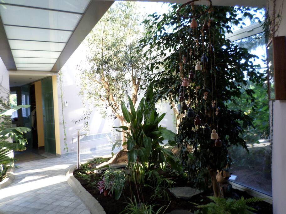 Jardin d'hiver