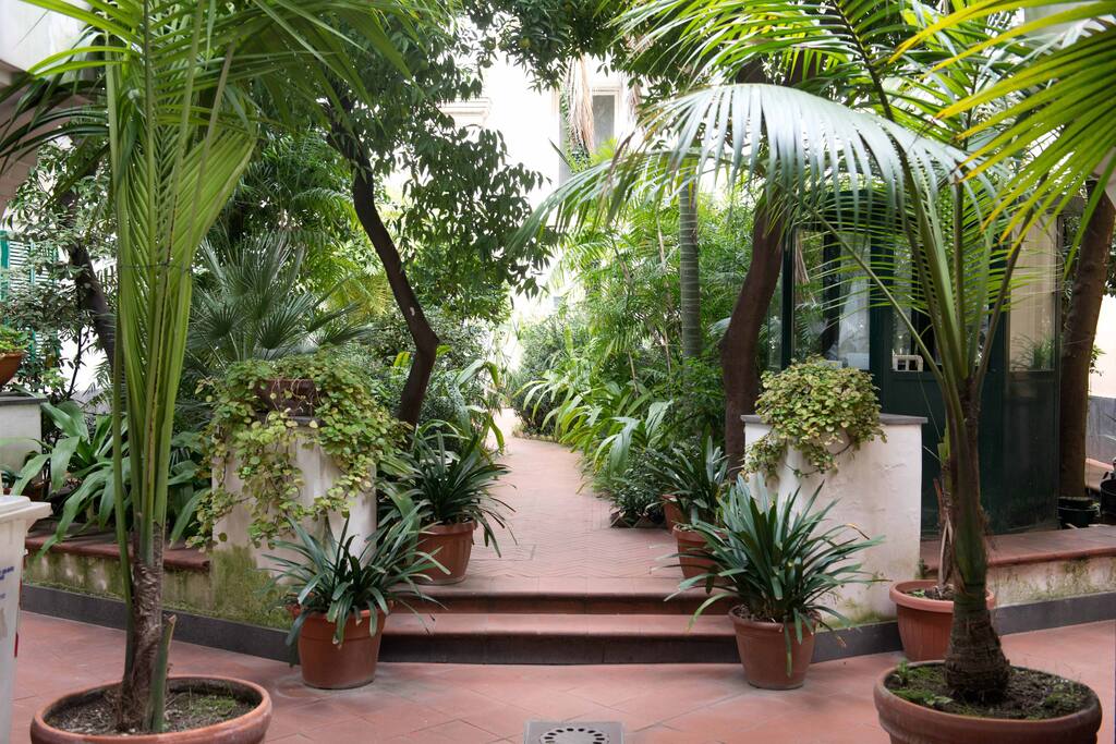 GIARDINO