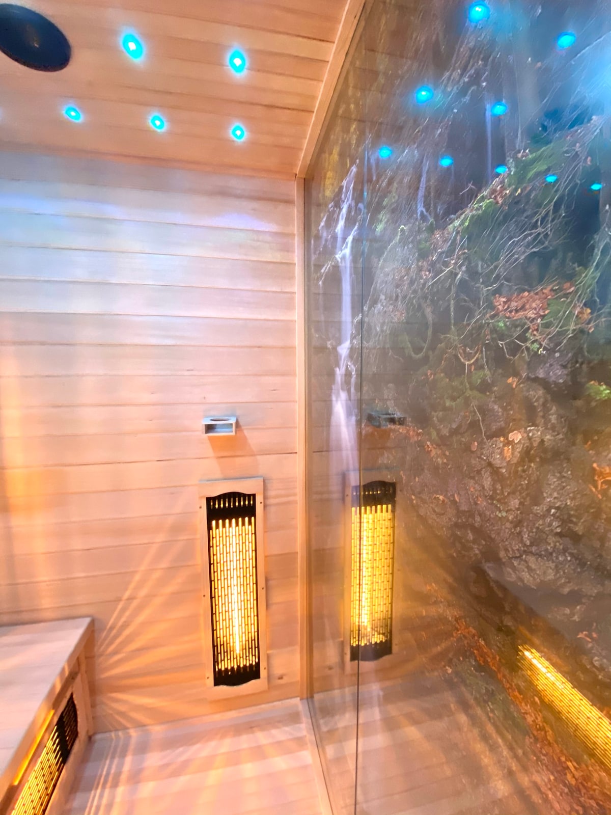 The infrared sauna features wooden paneling and built-in heaters, providing a warm environment. Soft lighting enhances the space, while a glass wall offers a view of a serene natural scene, creating a soothing atmosphere for relaxation.