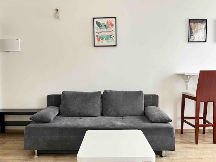 Adorable Apartment In The City Center! - Praga