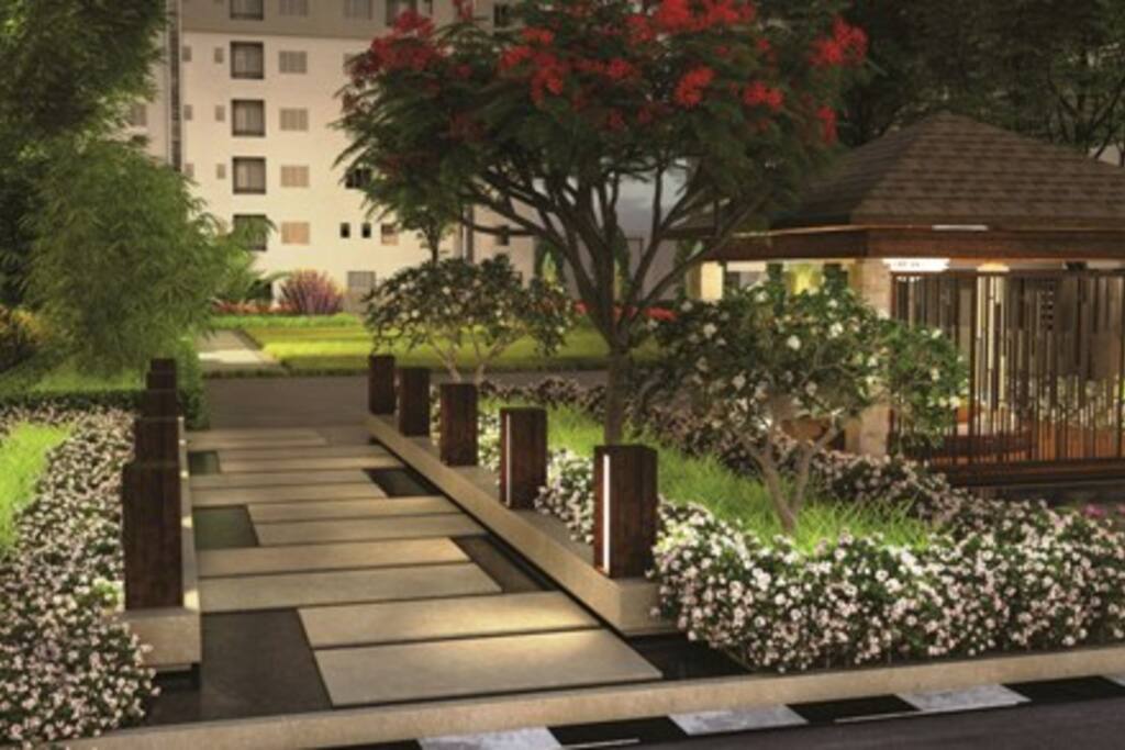 Lotus Pond View