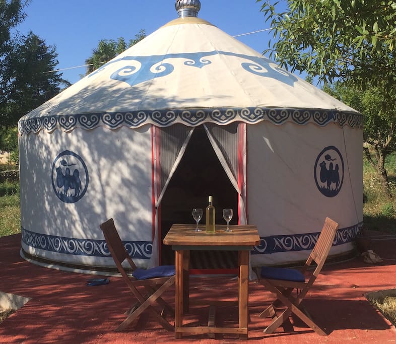 The Yurt is situated among almond trees.