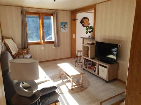Top performing Airbnb: Spacious apartment, 2 bedrooms for 4, Abundance in Abondance