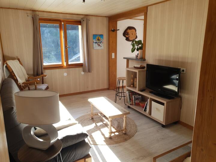 Appartement Spacieux, 2 Chambres Pour 4, Abondance - Abondance