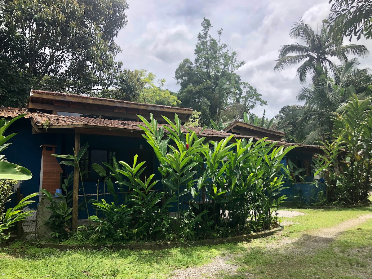 A row of individual chalets is surrounded by lush green vegetation, including tall plants and trees. The rustic buildings feature wooden roofs and blue exteriors, providing a natural integration with the landscaped environment. Gravel pathways lead through the greenery, creating a serene outdoor space.