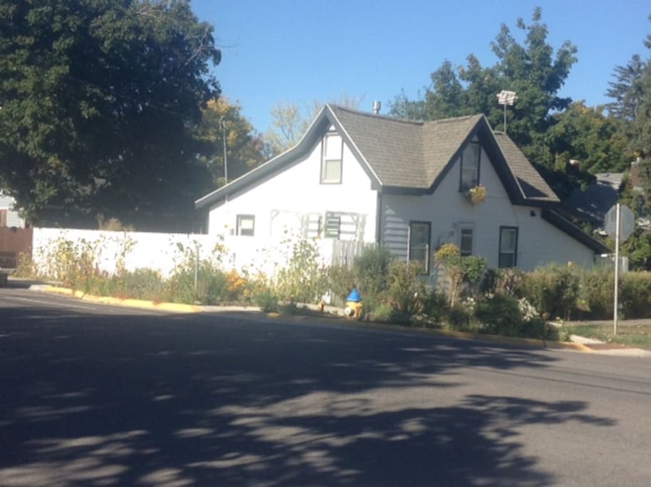 View of house and front garden from across the street