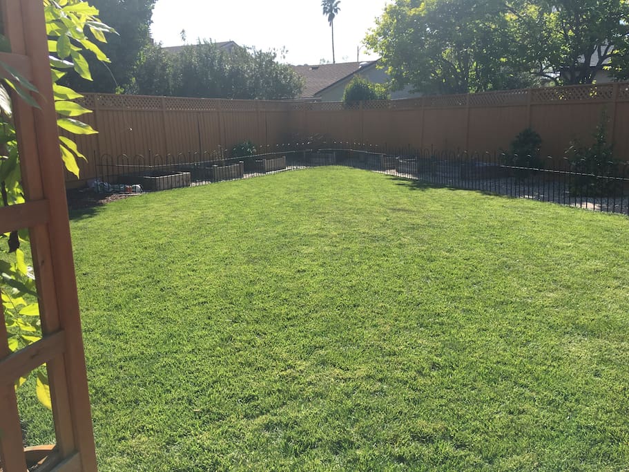 Large grass area to play with the family