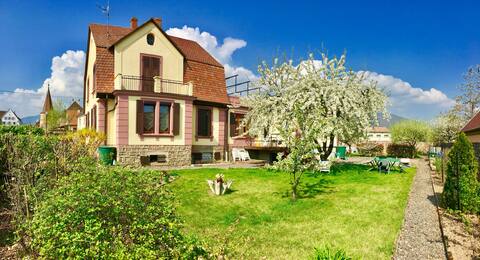 Maison Vignoble - near Colmar / Kaysersberg