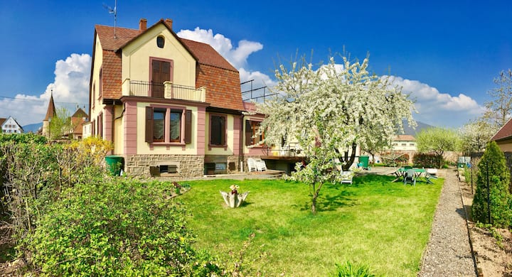 Maison Vignoble - near Colmar / Kaysersberg