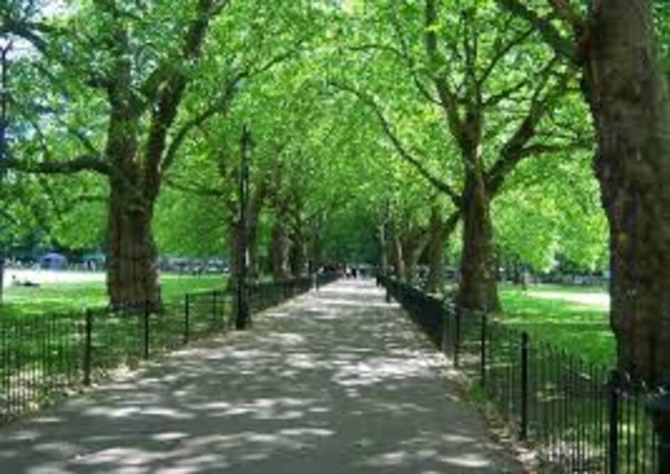 Highbury Fields
