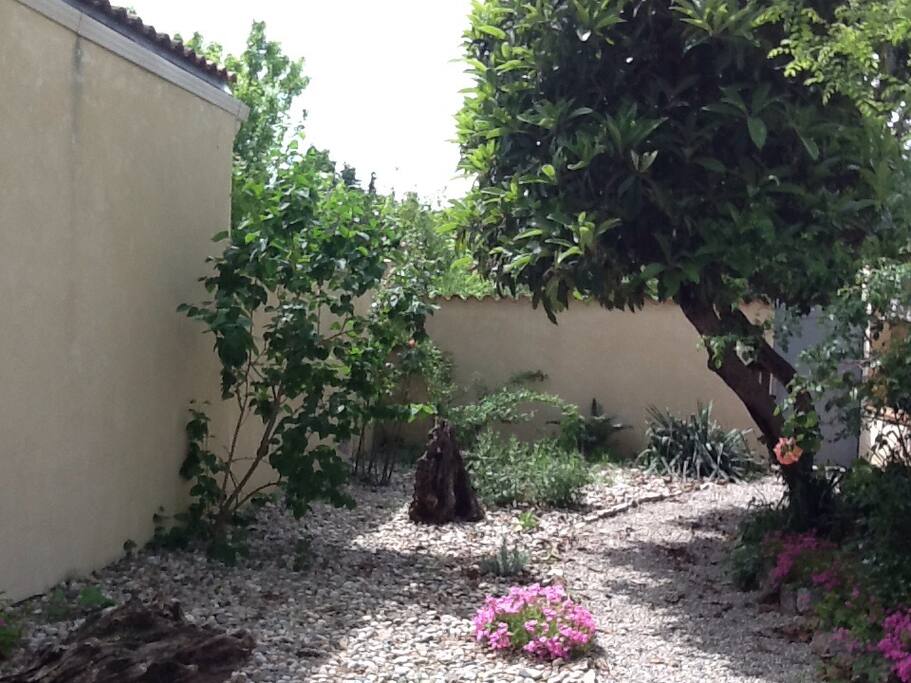 Jardin sans vis à vis