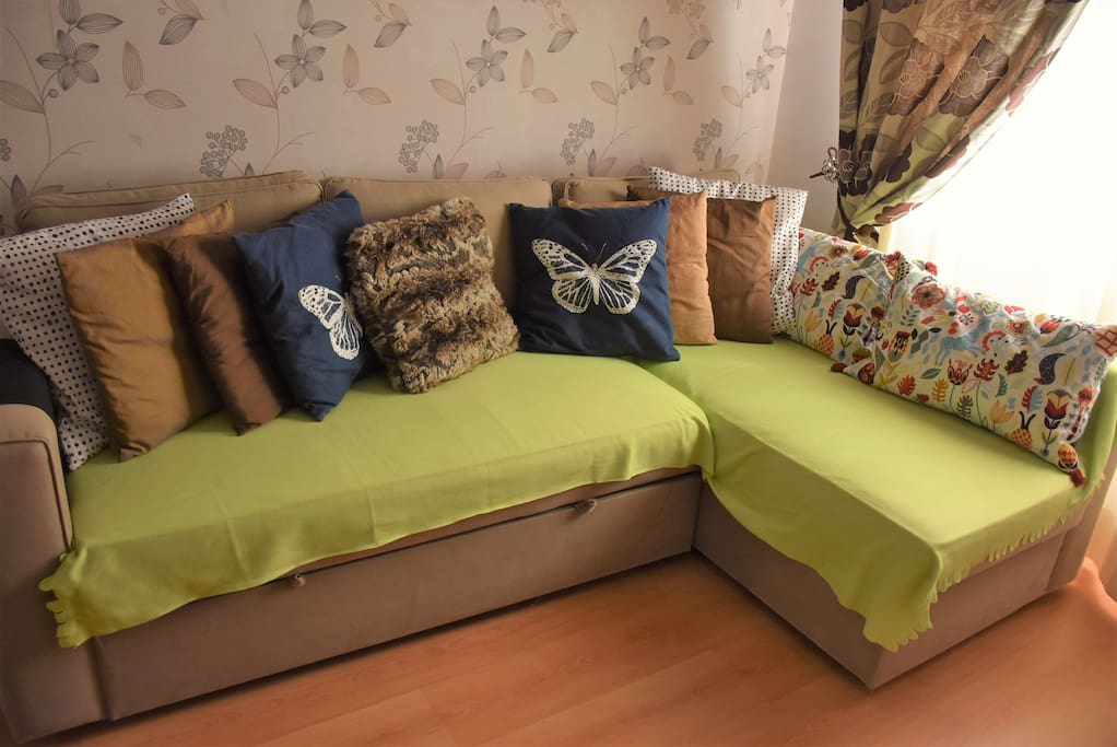 Sofa Bed in the Living Room