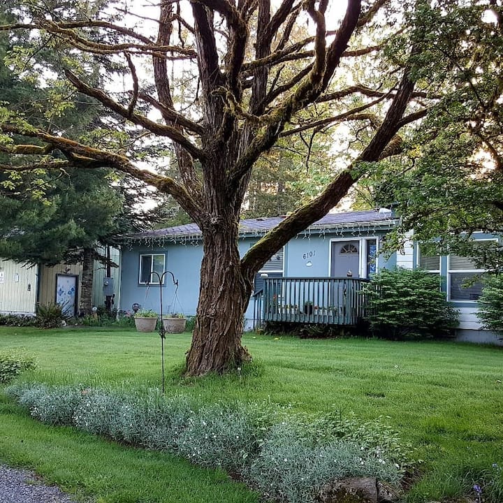 Belfair Vacation Rentals & Homes Washington, United States Airbnb