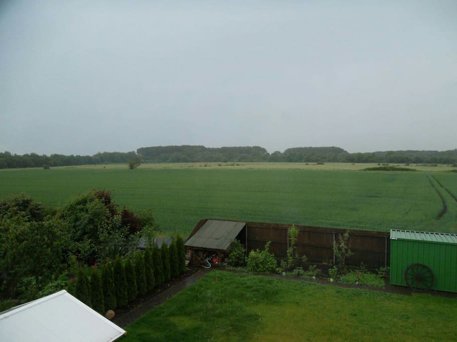 Blick aufs Naturschutzgebiet