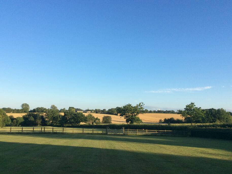 4f880cb5 764c 4a17 8717 36be369b602f