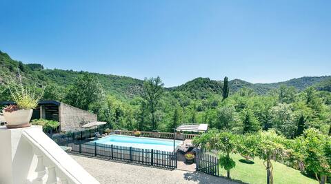 Domaine du lizard vert