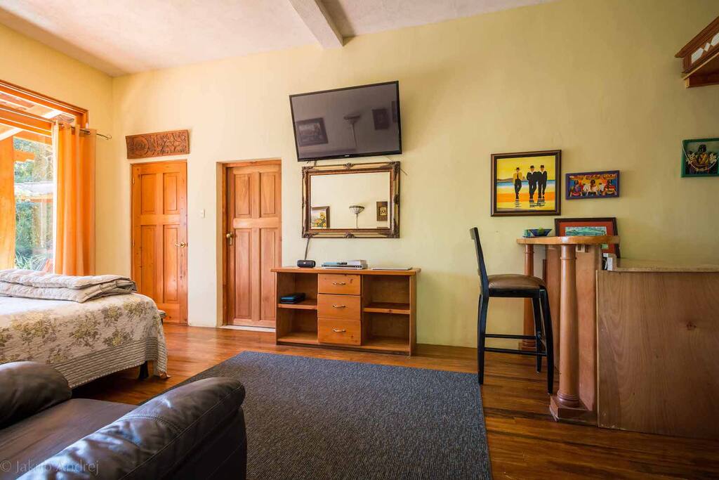 Interior kitchenette/bar, 42" flat screen TV.