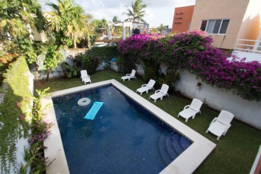 Large backyard with pool and loungers
