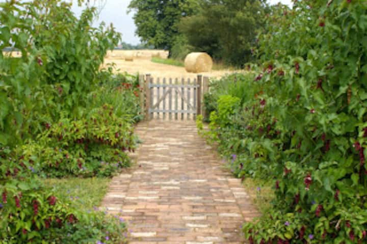 Le Grys House. Escape To Norfolk's Countryside - Norfolk