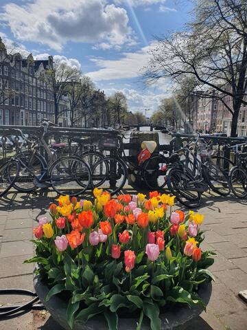 80m2 appartement in the center of Amsterdam gallery image 3