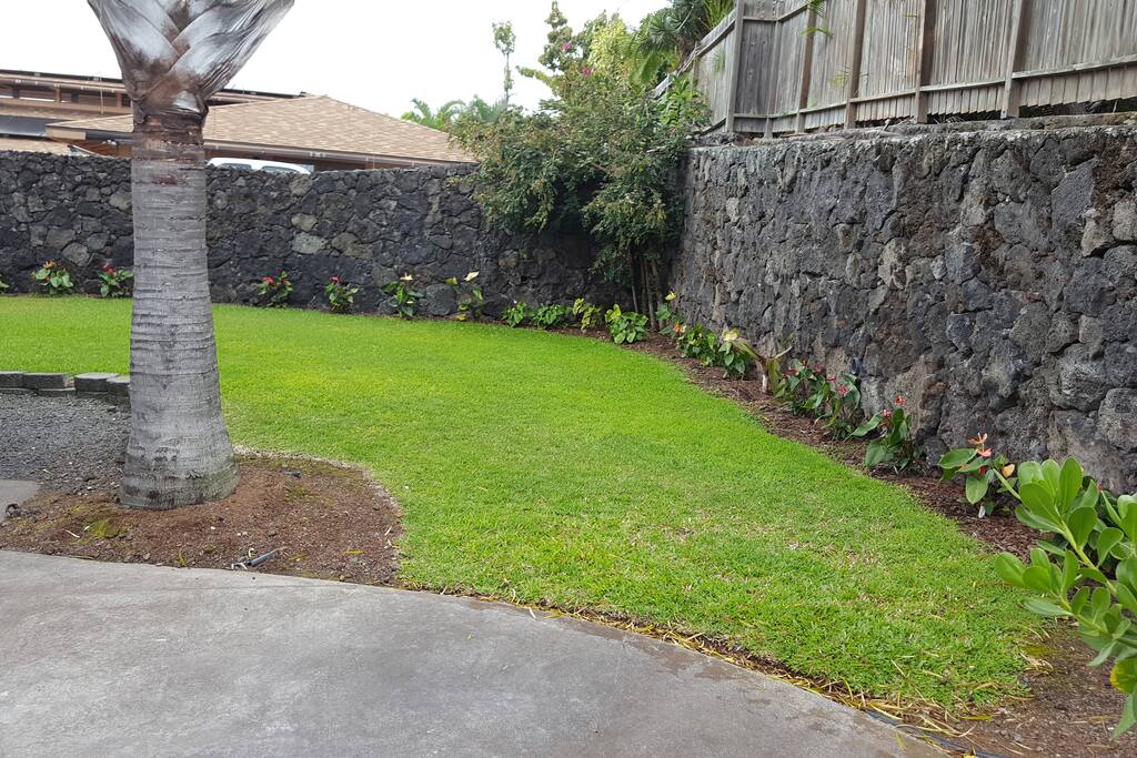 Top of Driveway and Grass Area