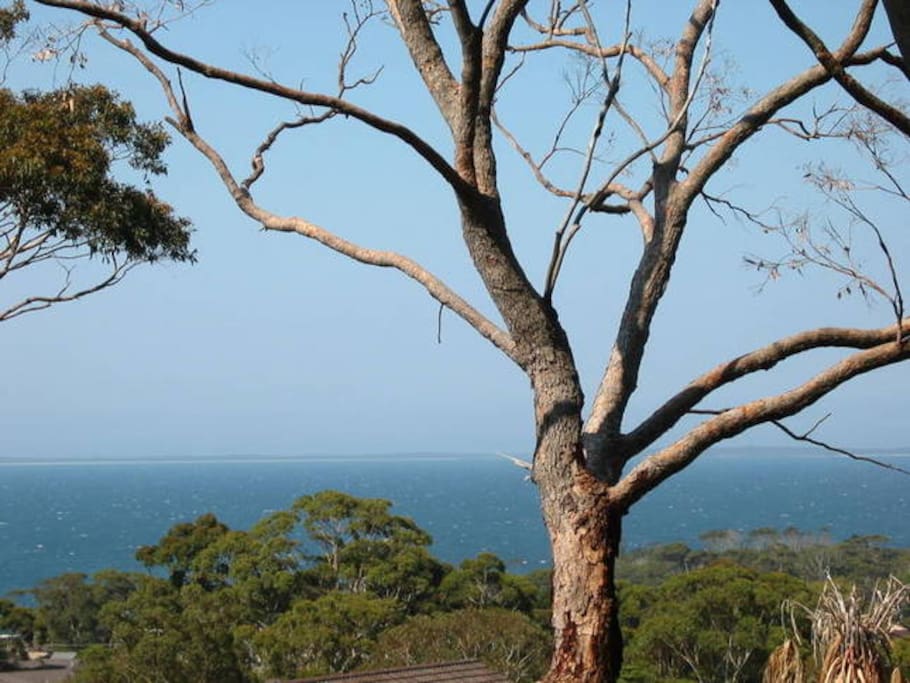 Beautiful views of Jervis Bay