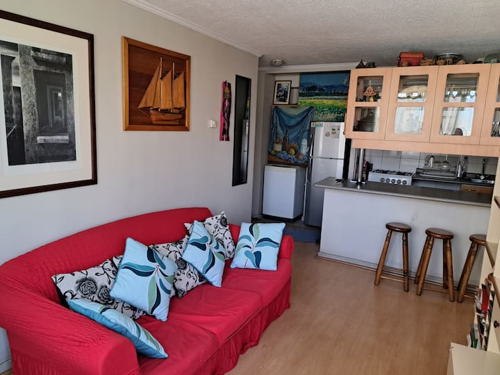 cozy apartment in Santiago de Chile. Condominiums for Rent in