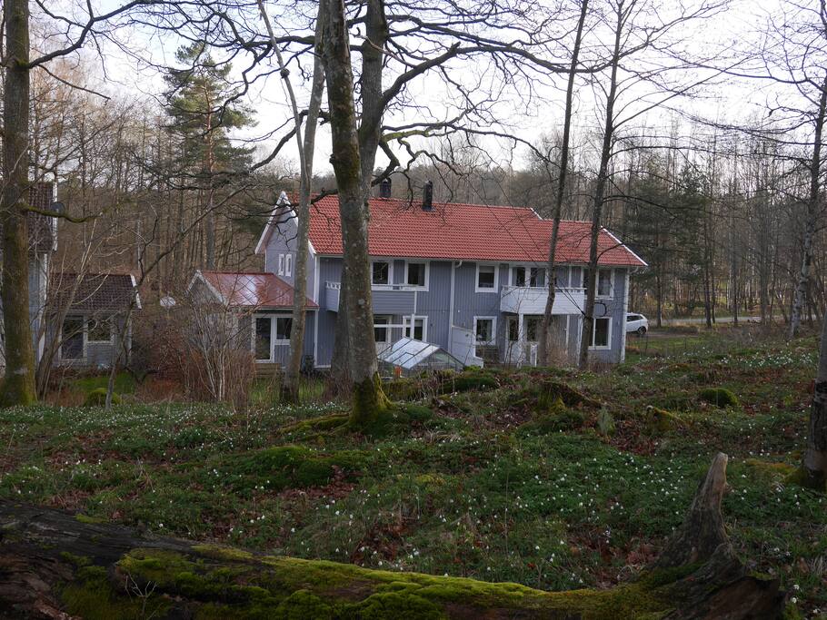 Baksidan, Naturen inpå knuten