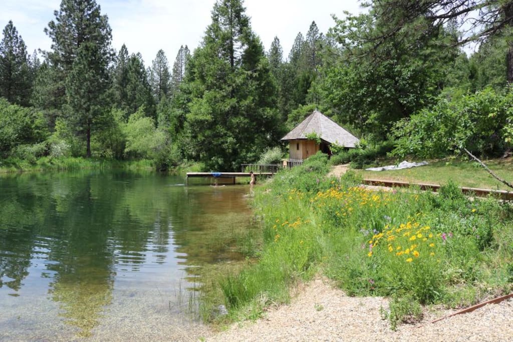 pond and sauna