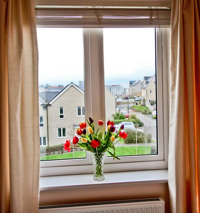 Window