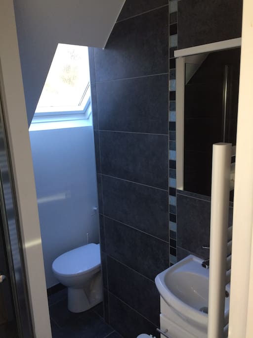 Salle de bain avec une douche, une toilette, et un lavabo