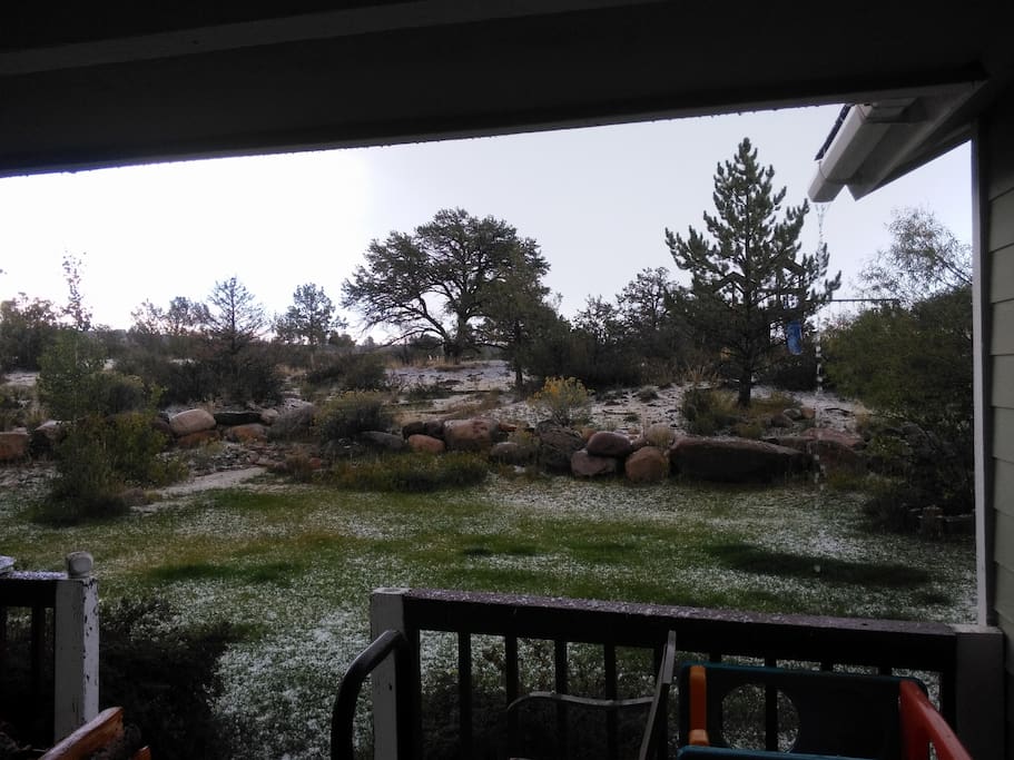 Our backyard