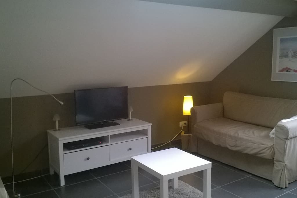 TV écran plat
wifi
2 sofabed