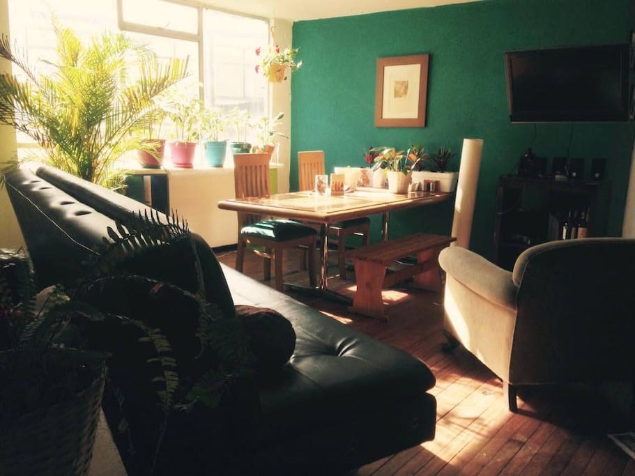 Big living room with free wi fi, tv, lots of plants, and a big table to eat.
