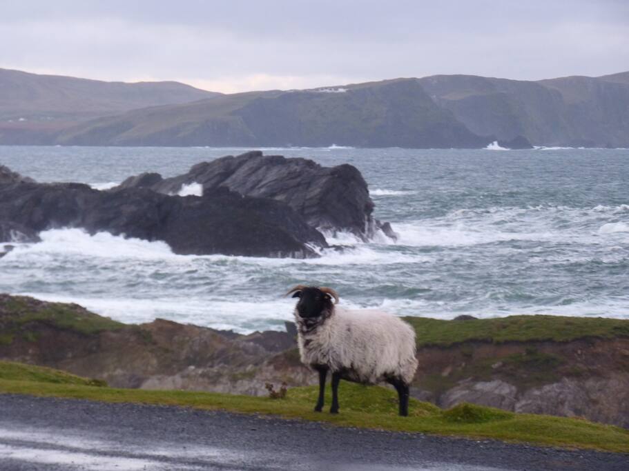Wunderschönes Irland / Beautiful Eire