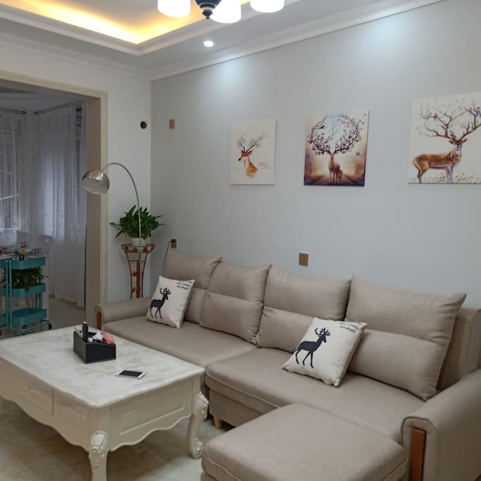 超大客厅(large living room )