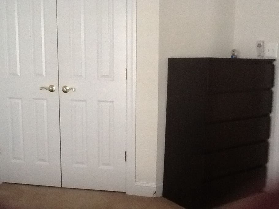 Closet and 6 drawer chest
