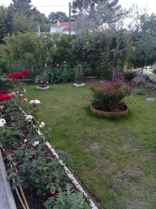Le jardin