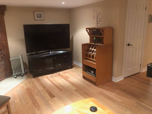 Private basement apartment in Toronto gallery image 2