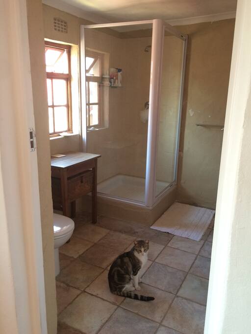 Main bedroom en-suite bathroom