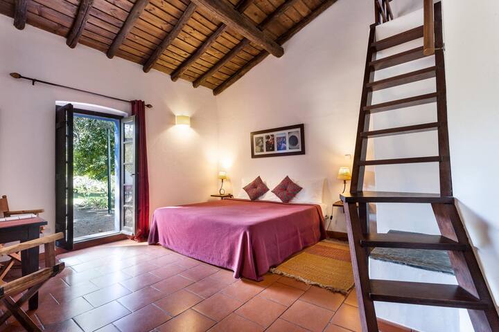 חדר יינות עם מיטה זוגית